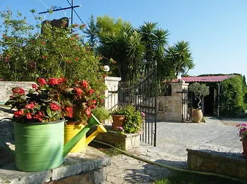 Panorama &